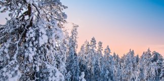 Operators in Finland faced with stringent RG framework Lapland, Finland