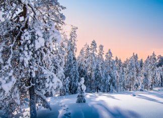 Fears tough affiliate regulations will fuel Finland’s black market Lapland, Finland