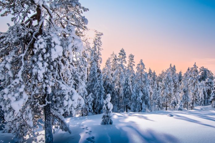 Fears-tough-affiliate-regulations-will-fuel-Finland’s-black-market Lapland, Finland