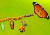LCKY Group: entering the next stage of iGaming evolution LCKY Group discusses the reasons behind a company rebranding.
