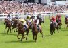 Midnite keeps tier-one chase with funding round investment Horse racing