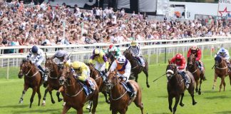 Midnite keeps tier-one chase with funding round investment Horse racing