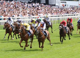 Midnite keeps tier-one chase with funding round investment Horse racing