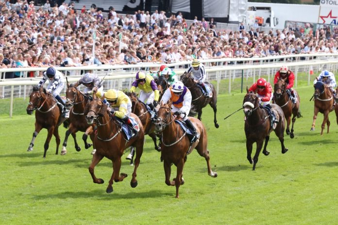Midnite-keeps-tier-one-chase-with-funding-round-investment Horse racing