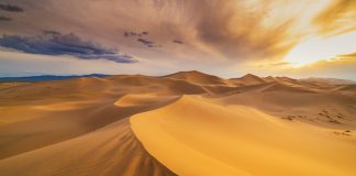 Tunisia MPs seek new architecture to combat illegal gambling Tunisia new gambling approach