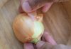 Vegangster removes ‘final layer of friction’ with latest feature Close up a hand peeling an onion