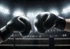 Operators enter the ring for the New Zealand online casino market Boxing