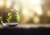 Century Entertainment eyes Asia-Pacific growth with PAGCOR-licensed partner Looking at growth through a microscope