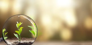 Century Entertainment eyes Asia-Pacific growth with PAGCOR-licensed partner Looking at growth through a microscope
