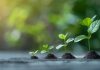 1spin4win hails expansion and consistency for rapid growth Growth