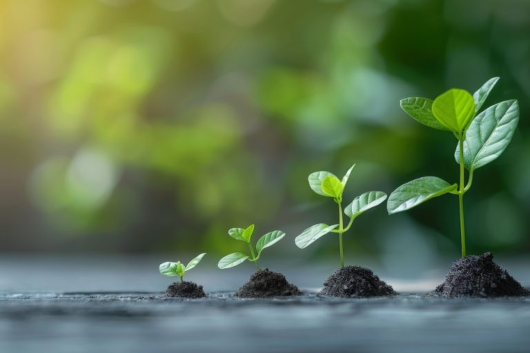 Growth