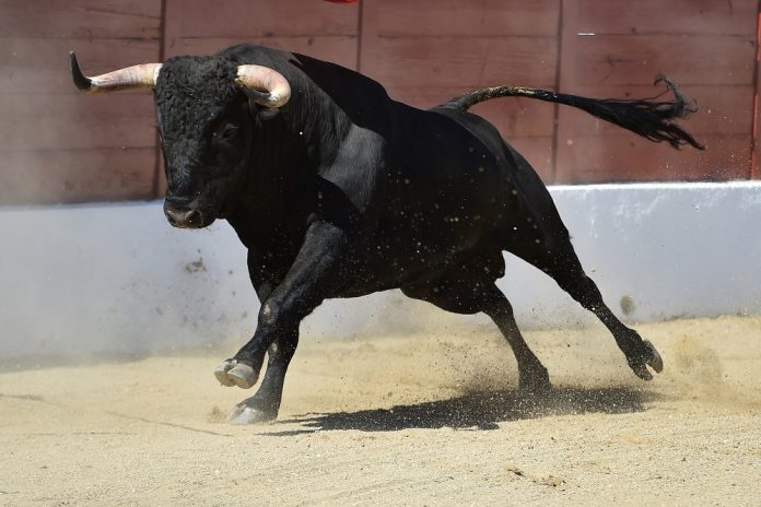 Ballys-confident-in-taking-UK-iGaming-by-the-horns-post-tax-hike Bull