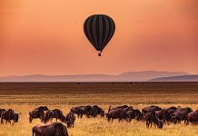 Kenya eyes renewed focus under new regulatory lead Kenya expansion