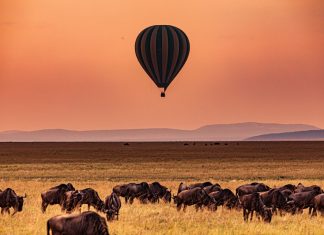 Kenya eyes renewed focus under new regulatory lead Kenya expansion