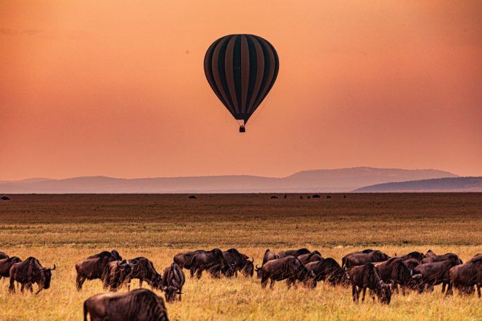 Kenya expansion