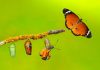 Sportradar hunts iGaming odyssey with Playradar brand Transformation