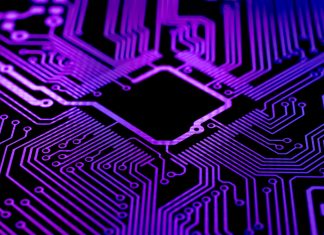 AI, LTV and economics: Vegangster on the future of iGaming Circuits that reflect on Vegangster's look about technology.
