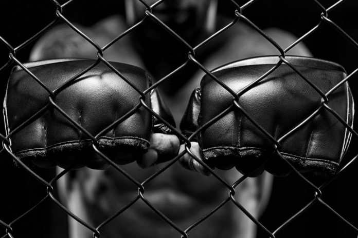 Amusnet-delivers-knockout-blow-with-UTMA-18-deal MMA gloves