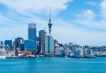 True Legal: Black market migration essential to long-term success of New Zealand market New Zealand