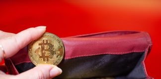 ReferOn steps up crypto capabilities with new payments layer Hand holds a gold coin with bitcoin logo