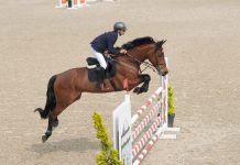 LiveScore Group reaps reward of Netherlands exit, but bigger hurdles await Horse jumping over hurdles