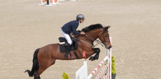 LiveScore Group reaps reward of Netherlands exit, but bigger hurdles await Horse jumping over hurdles