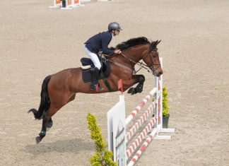 LiveScore Group reaps reward of Netherlands exit, but bigger hurdles await Horse jumping over hurdles