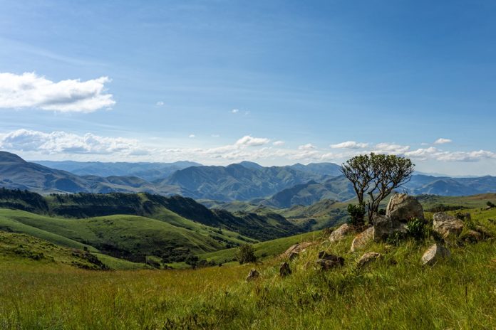 Eswatini black market