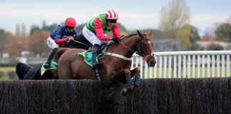 bet365 lands in France ahead of a significant sports summer bet365 logo on a horse racing jump