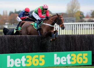 bet365 lands in France ahead of a significant sports summer bet365 logo on a horse racing jump