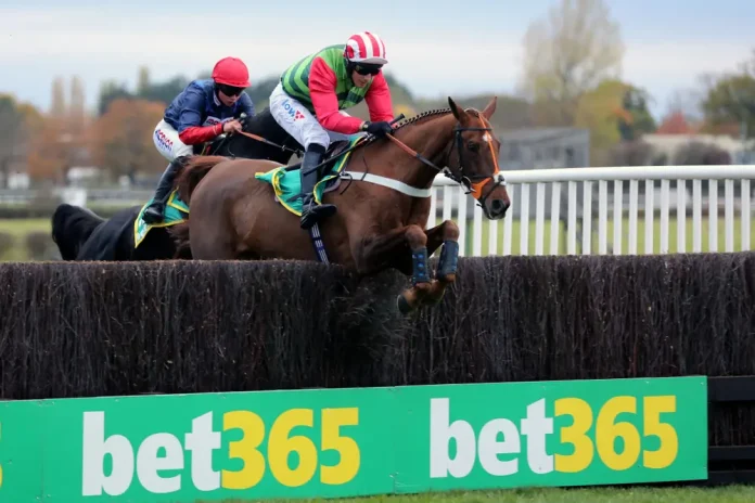 bet365 logo on a horse racing jump
