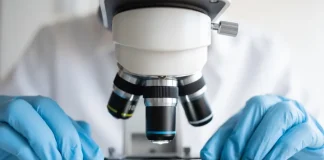 Four things we learnt as Question Time put AI under the mainstream microscope Close up of microscope