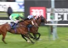 Flutter and Lottomatica neck-and-neck in fierce fight for Italian market share Two horses racing next to each other