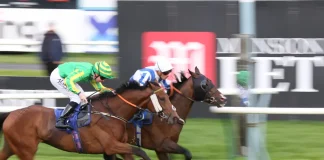 Flutter and Lottomatica neck-and-neck in fierce fight for Italian market share Two horses racing next to each other