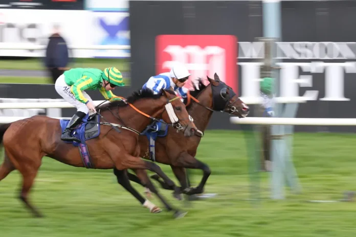 Two horses racing next to each other