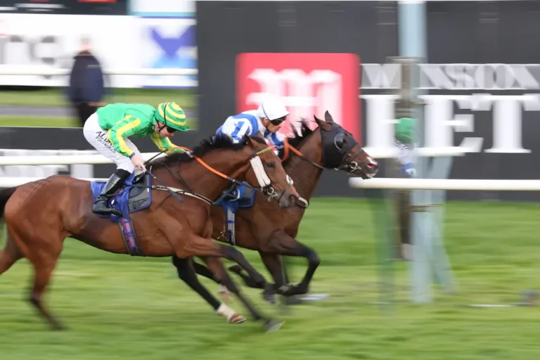 Two horses racing next to each other