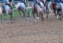 UK gambling must stop fearing the affordability boogeyman Affordability
