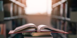 Rank brings Wazdan slots to YoBingo content library Library