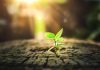 Scaling commercial growth in global iGaming: strategy, partnerships & market expansion LCKY Group elaborates on the key strategies associated with achieving iGaming commercial growth.