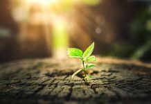 Scaling commercial growth in global iGaming: strategy, partnerships & market expansion LCKY Group elaborates on the key strategies associated with achieving iGaming commercial growth.