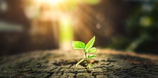 Scaling commercial growth in global iGaming: strategy, partnerships & market expansion LCKY Group elaborates on the key strategies associated with achieving iGaming commercial growth.