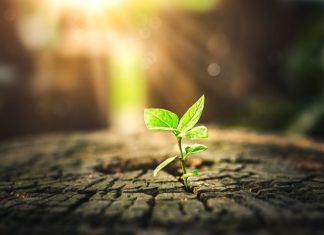 Scaling commercial growth in global iGaming: strategy, partnerships & market expansion LCKY Group elaborates on the key strategies associated with achieving iGaming commercial growth.