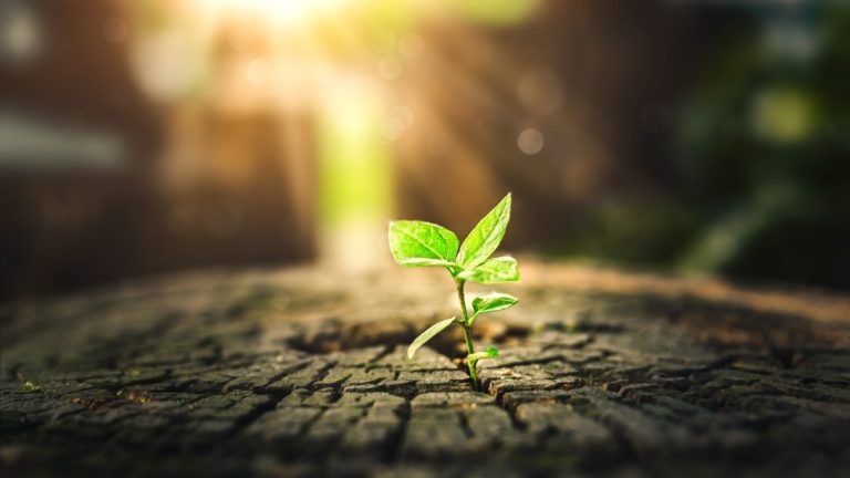 Scaling commercial growth in global iGaming: strategy, partnerships & market expansion LCKY Group elaborates on the key strategies associated with achieving iGaming commercial growth.