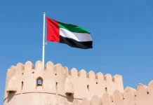 UAE regulator heads into critical juncture with new CEO UAE flag
