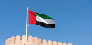 UAE regulator heads into critical juncture with new CEO UAE flag