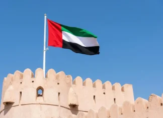 UAE regulator heads into critical juncture with new CEO UAE flag