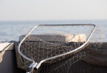 Yggdrasil partners with Lucky Fish and Bet Set Win in South Africa Fishing net