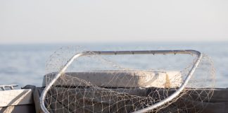 Yggdrasil partners with Lucky Fish and Bet Set Win in South Africa Fishing net