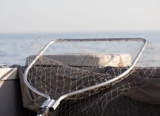 Yggdrasil partners with Lucky Fish and Bet Set Win in South Africa Fishing net