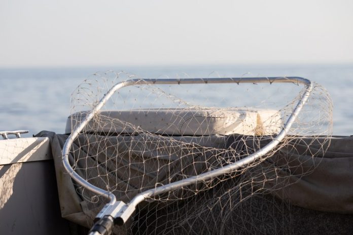 Yggdrasil-partners-with-Lucky-Fish-and-Bet-Set-Win-in-South-Africa Fishing net